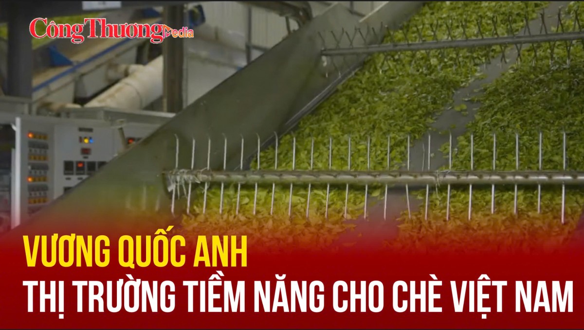 Vương quốc Anh - thị trường tiềm năng cho chè Việt Nam