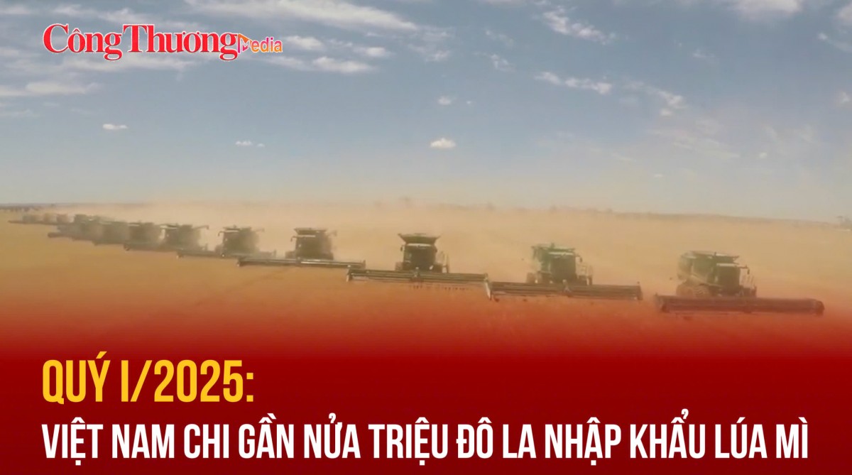 Quý I/2025: Việt Nam chi gần nửa triệu đô la nhập khẩu lúa mì